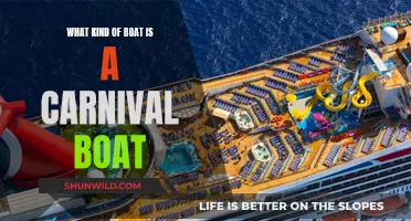 Carnival Boats: A Fun and Unique Boat Experience