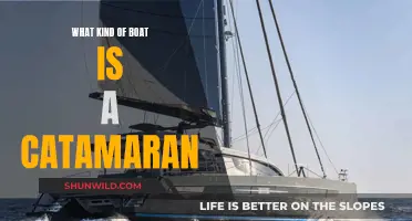 Catamaran Boats: A Comprehensive Overview of Their Design and Features