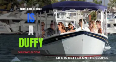 The Duffy Boat: A Classic Electric Cruiser