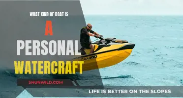 Personal Watercraft: Are They Boats or Not?