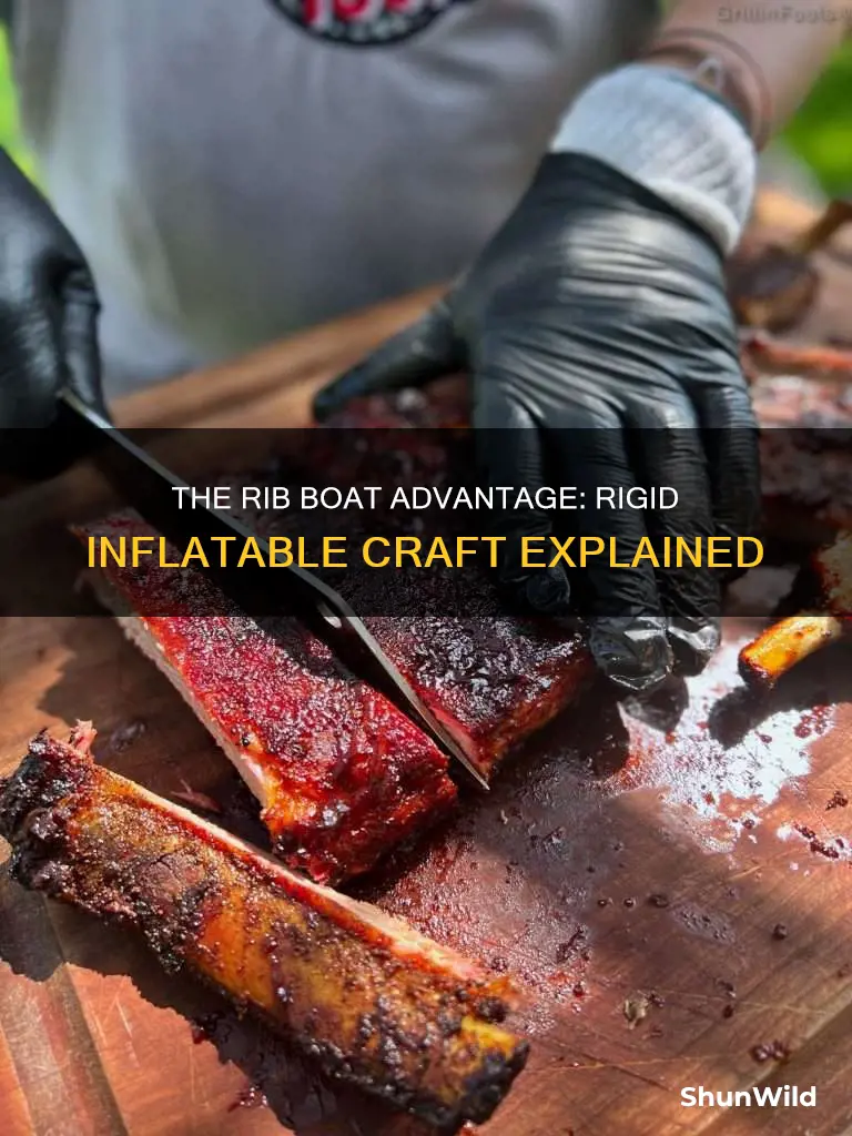 what kind of boat is a rib