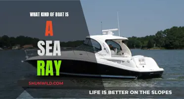 Sea Ray Boats: Exploring Their Unique Design and Features