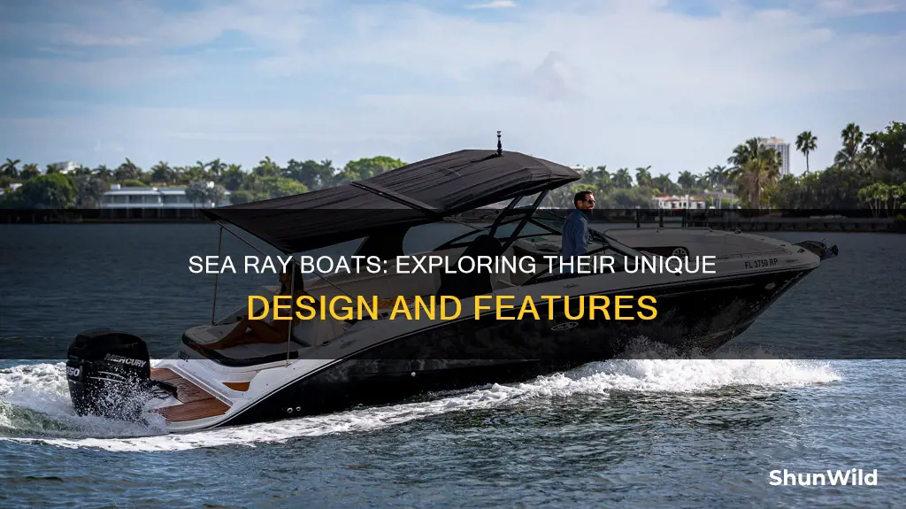 what kind of boat is a sea ray