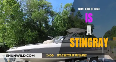 Stingray Boats: A Guide to Their Unique Design and Features