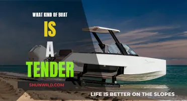 The Many Types of Boats Called Tenders