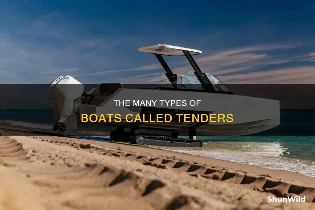 what kind of boat is a tender