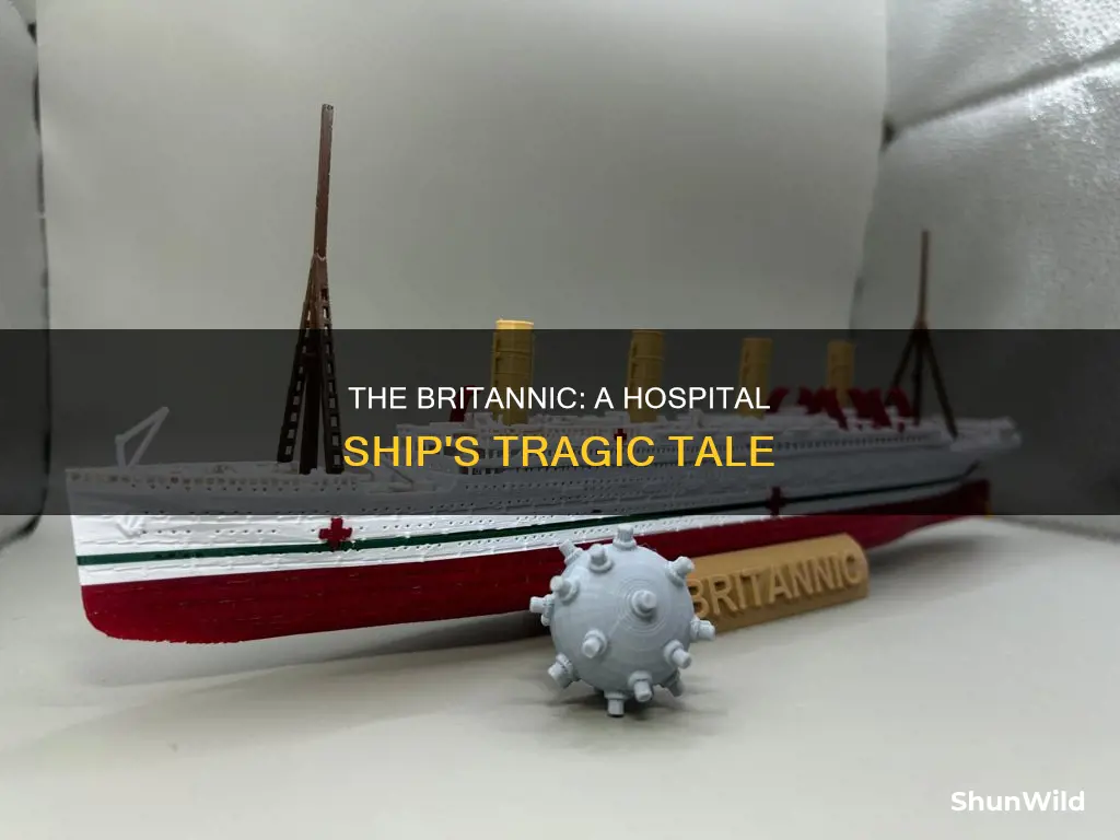 what kind of boat is britannic