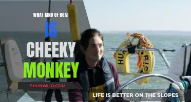 Cheeky Monkey: A Boat Like No Other