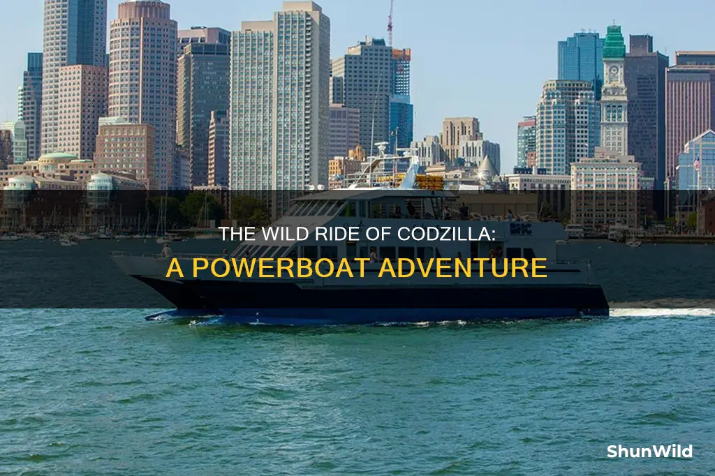 what kind of boat is codzilla