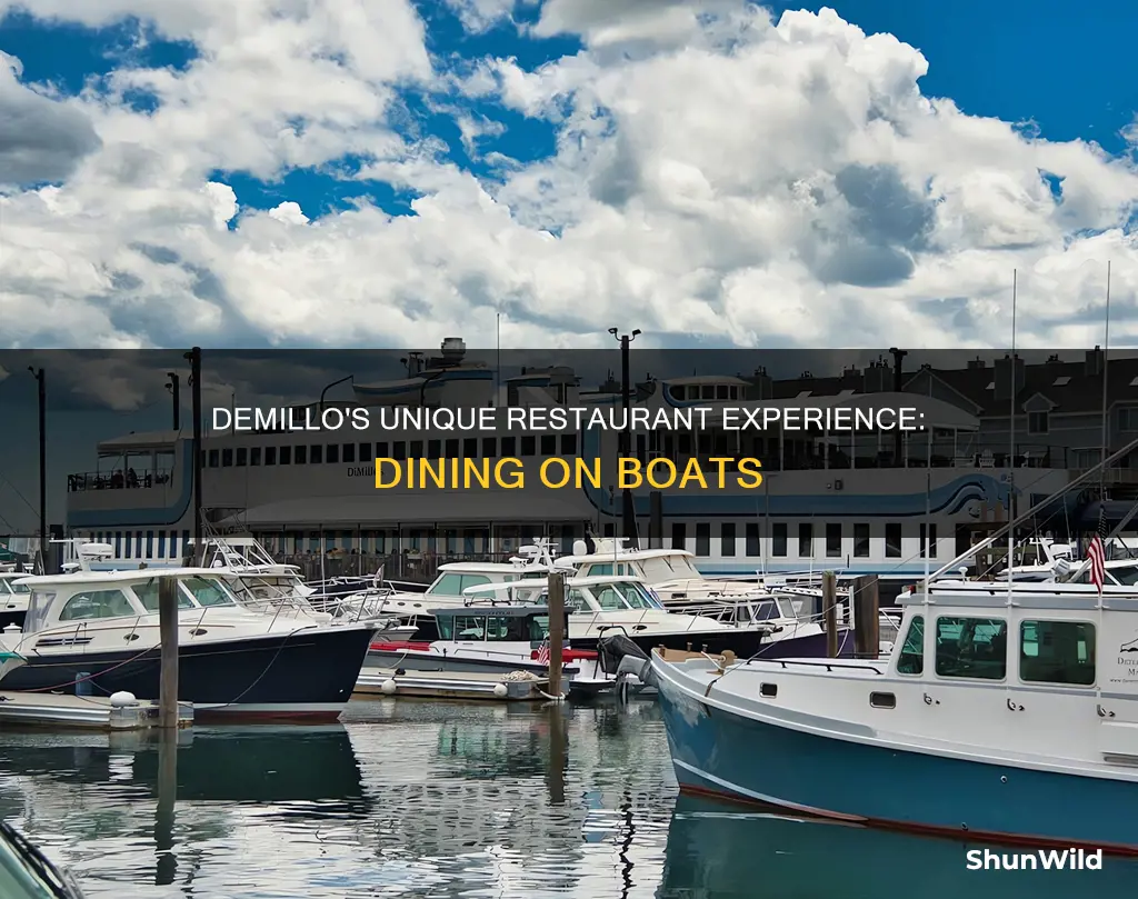 what kind of boat is demillo restaurant boats