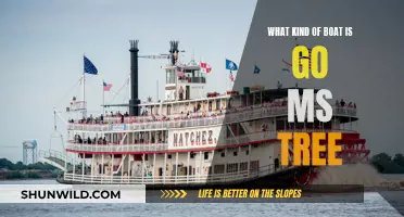 Exploring the Unique Boat, Go Ms. Tree: Its Special Features