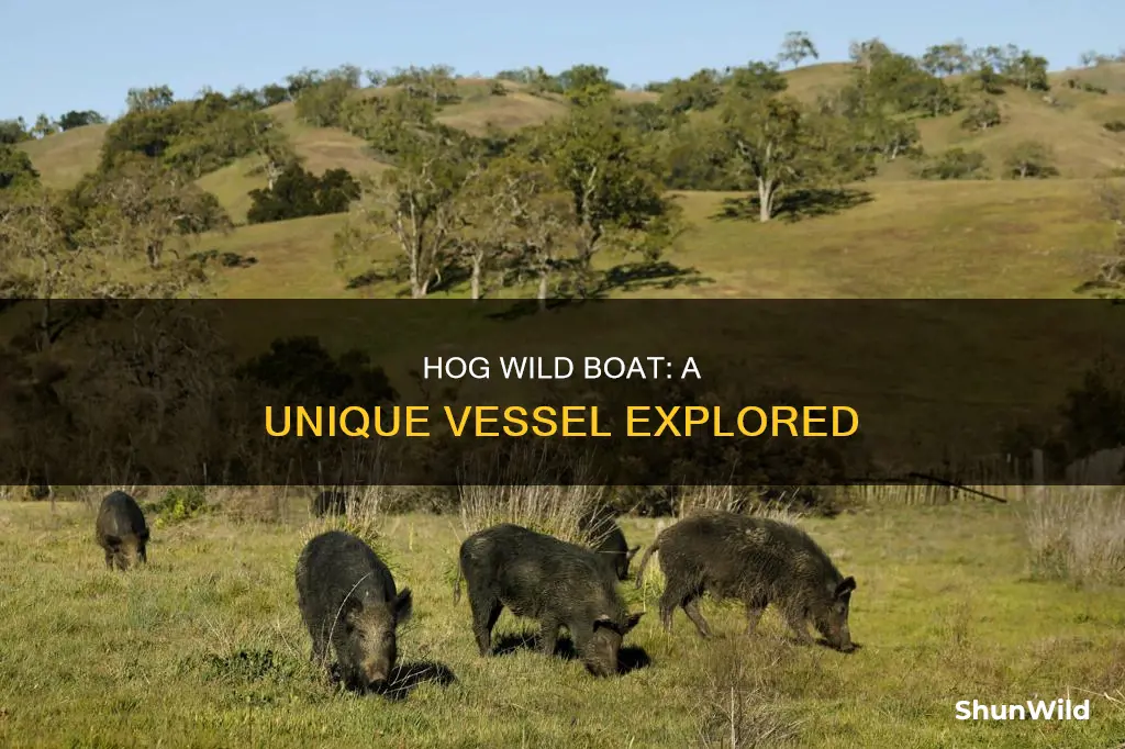 what kind of boat is hog wild