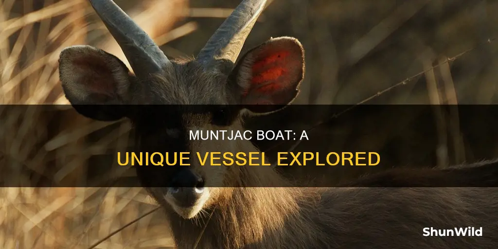 what kind of boat is muntjac boat