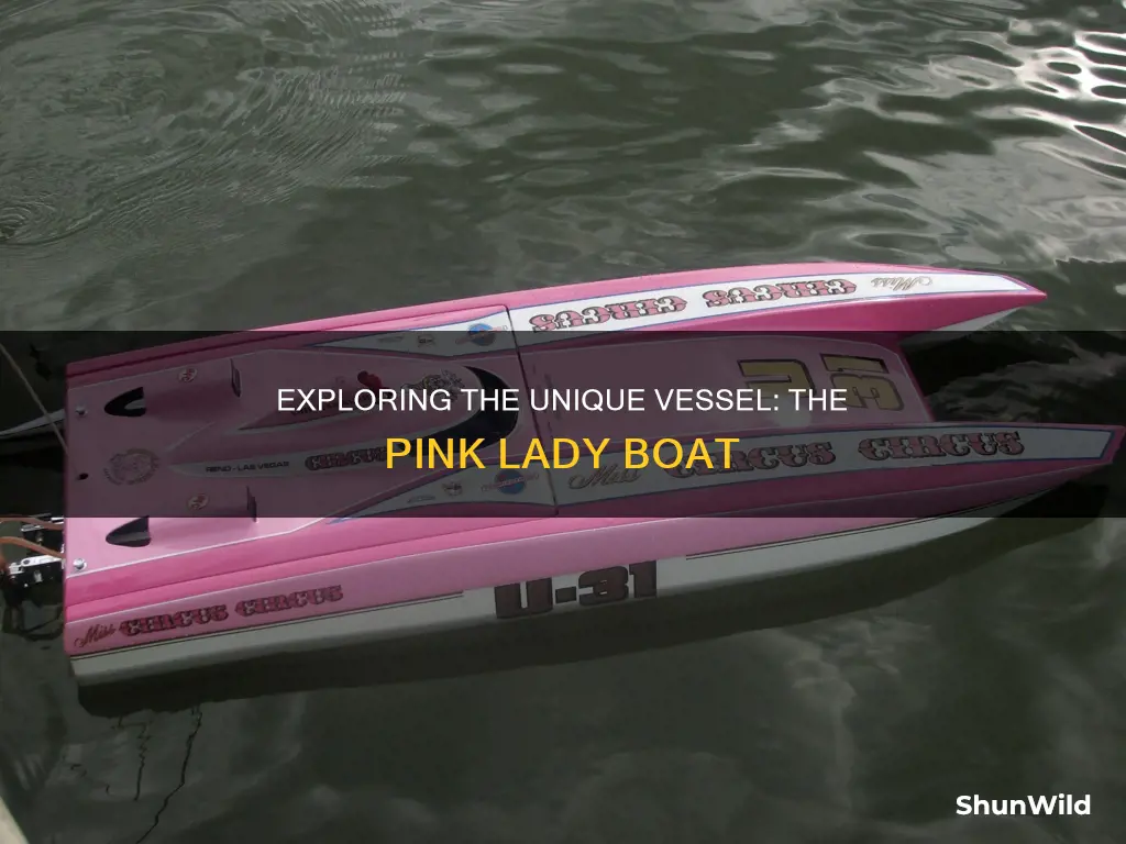 what kind of boat is pink lady