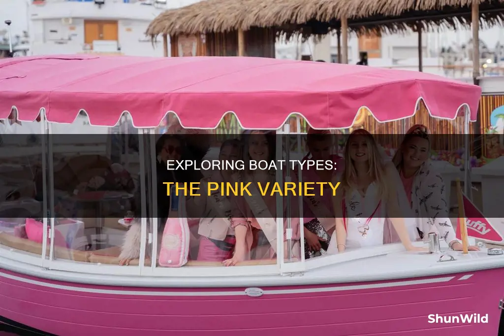 what kind of boat is pink