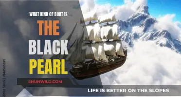 Exploring the Black Pearl: A Pirate Ship Legend