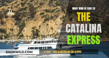 Catalina Express: A High-Speed Passenger Catamaran Experience