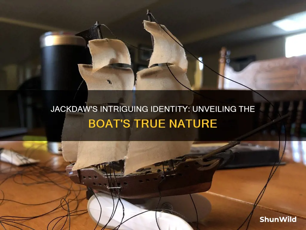 what kind of boat is the jackdaw