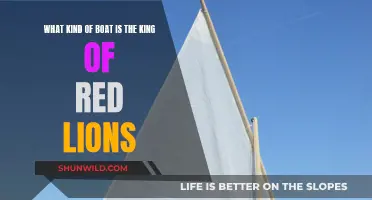 The King of Red Lions: A Unique Boat's Identity