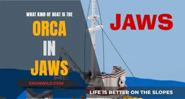 The Orca's Design: A Look at the Unique Boat in Jaws