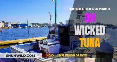 Pinwheel Boat: A Wicked Tuna Vessel Explored