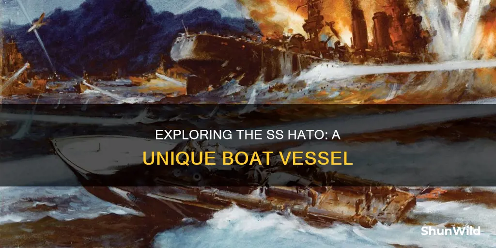 what kind of boat is the ss hato