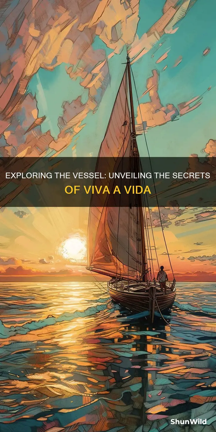 what kind of boat is viva a vida