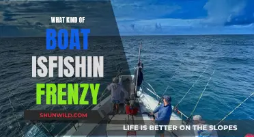 Fishing Frenzy: What Type of Boat is Best?