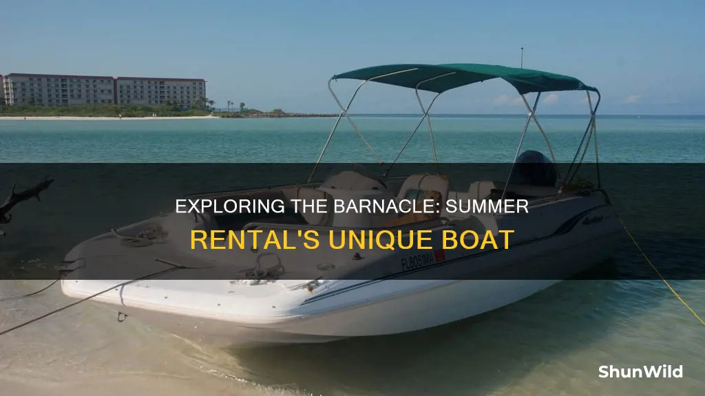 what kind of boat was the barnacle in summer rental