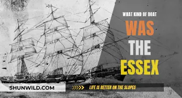 The Essex: A Whale Tale of a Whaler Vessel