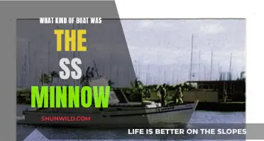 The SS Minnow: A Small Cruiser Ship