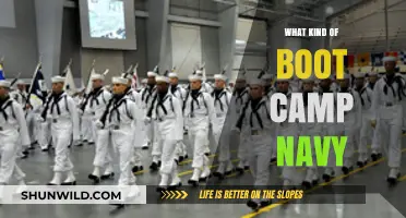 Exploring Navy Boot Camp: Training, Challenges, and Life-Changing Experiences