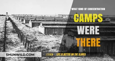 Exploring the Varied Types of Concentration Camps in History
