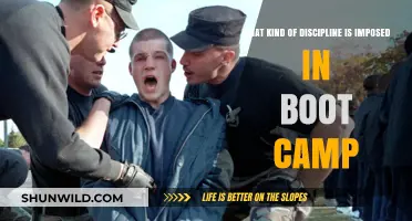 Boot Camp Discipline: Understanding the Rigorous Training and Structure