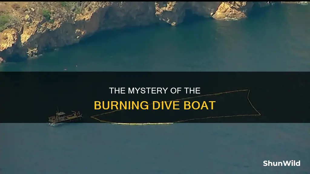 what kind of dive boat burnd