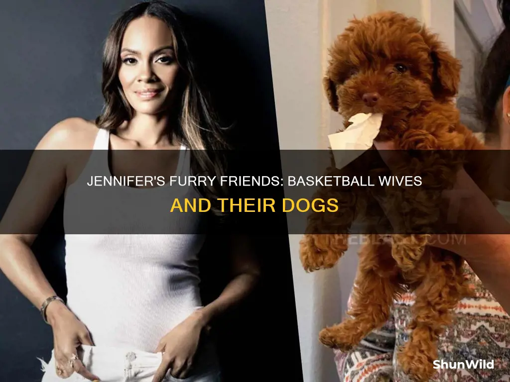 what kind of dog does jennifer from basketball wives have