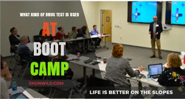 Drug Testing at Boot Camp: Methods and Procedures Explained