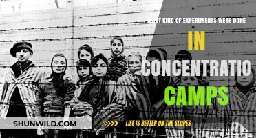 Unveiling the Horrific Experiments Conducted in Nazi Concentration Camps