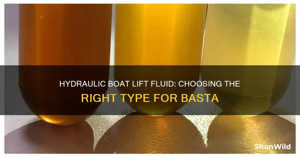 what kind of fluid goes into basta boat lifts