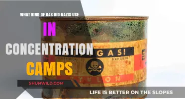 Nazi Concentration Camps: The Deadly Gas Used in Mass Murder