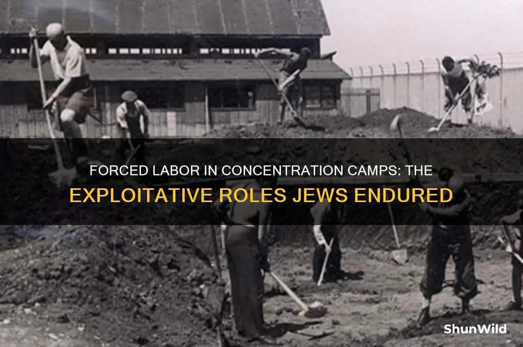 what kind of labor did jews do in concentration camps