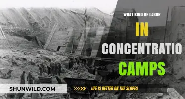 Forced Labor in Concentration Camps: Types, Conditions, and Human Cost