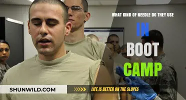 Boot Camp Needle Types: What to Expect in Military Training