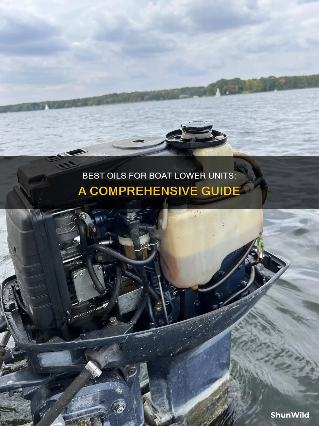 what kind of oil for boat lower unit