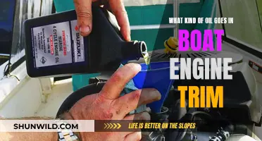 Choosing the Right Oil for Boat Engine Trim