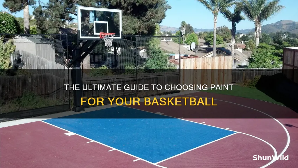 what kind of paint to use on a basketball