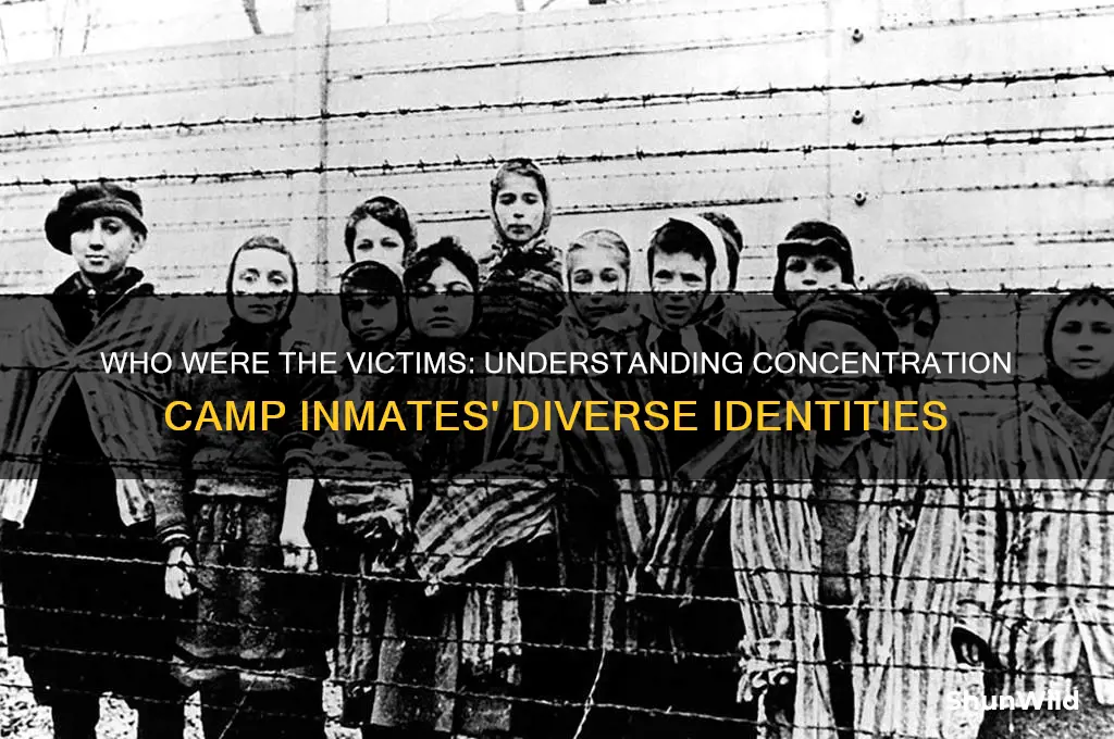 what kind of people went into concentration camps