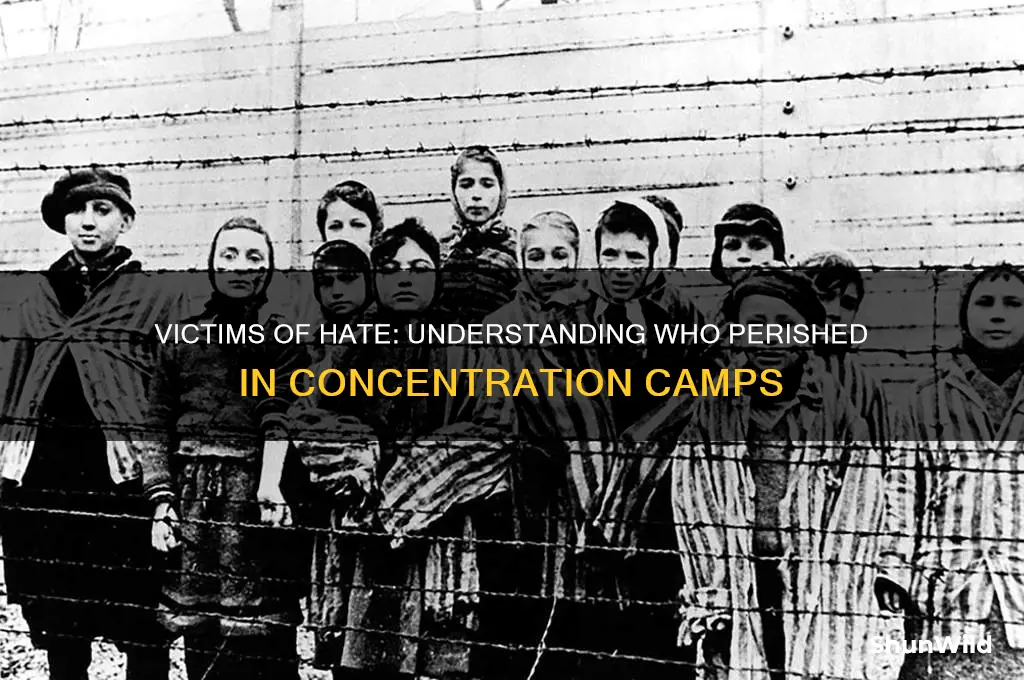 what kind of people were killed in concentration camps