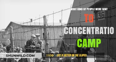 Who Were the Victims: Understanding Concentration Camp Prisoners' Identities