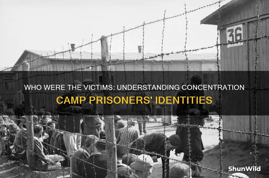 what kind of people were sent to concentration camp